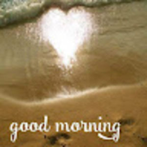 Meet your Posher, Donald